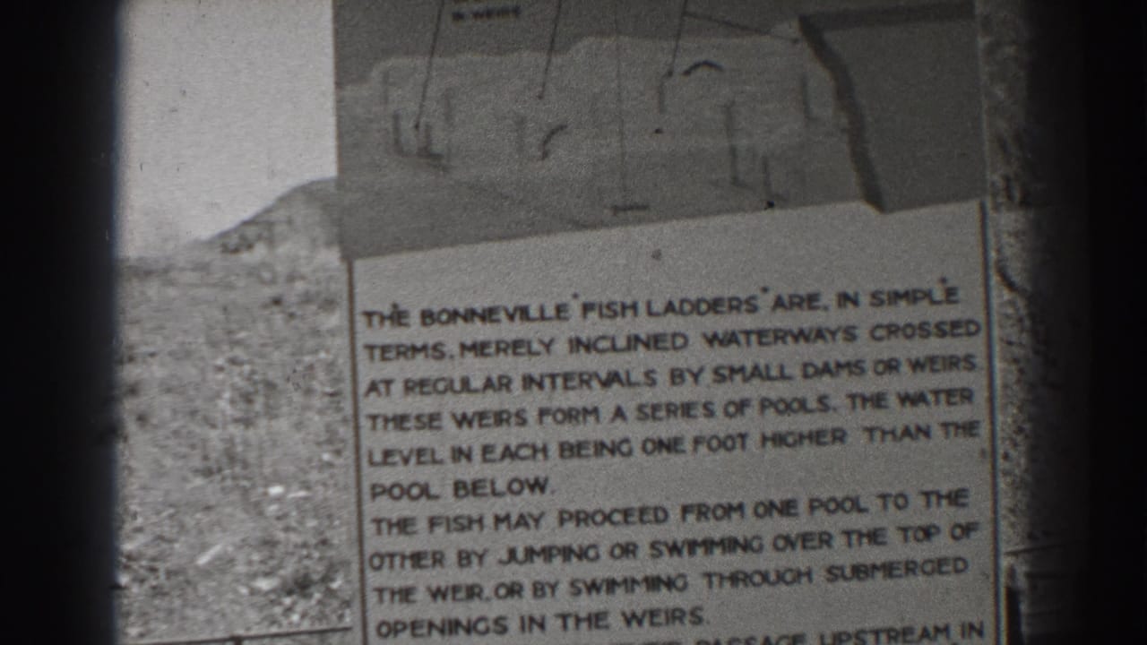 1938 Bonneville Dam visitor footage showing a close-up of an informational sign explaining fish ladders and stepped pools.