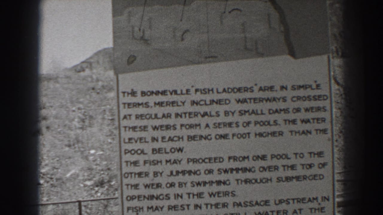 Fish ladders sign fills the frame with text about inclined waterways and weirs.