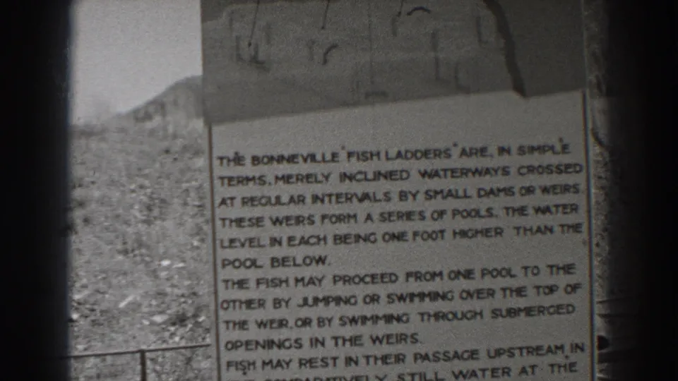 Black-and-white 8mm frame of the Bonneville fish ladder sign, with readable text on pools, weirs, and fish movement.