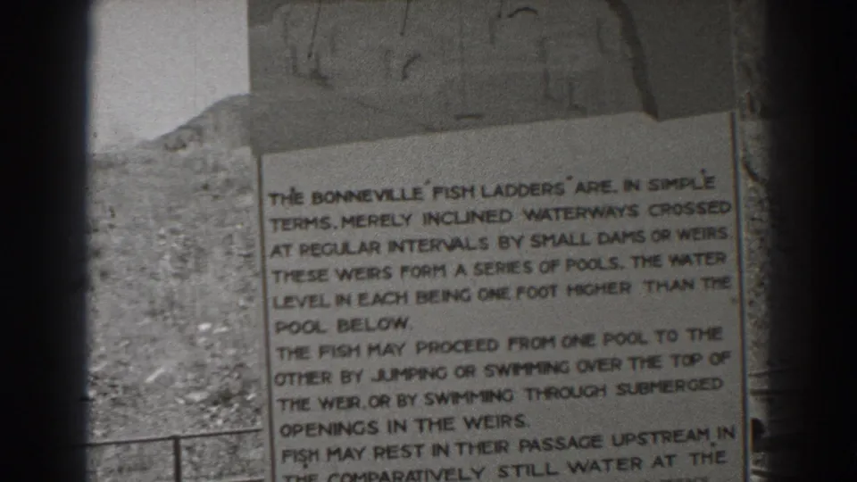Bonneville Dam sign footage showing printed guidance on fish passage, framed by dark 8mm edge vignetting.