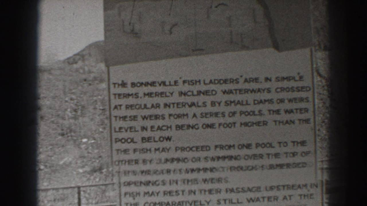 Close view of a sign explaining the Bonneville fish ladders beside dam infrastructure.