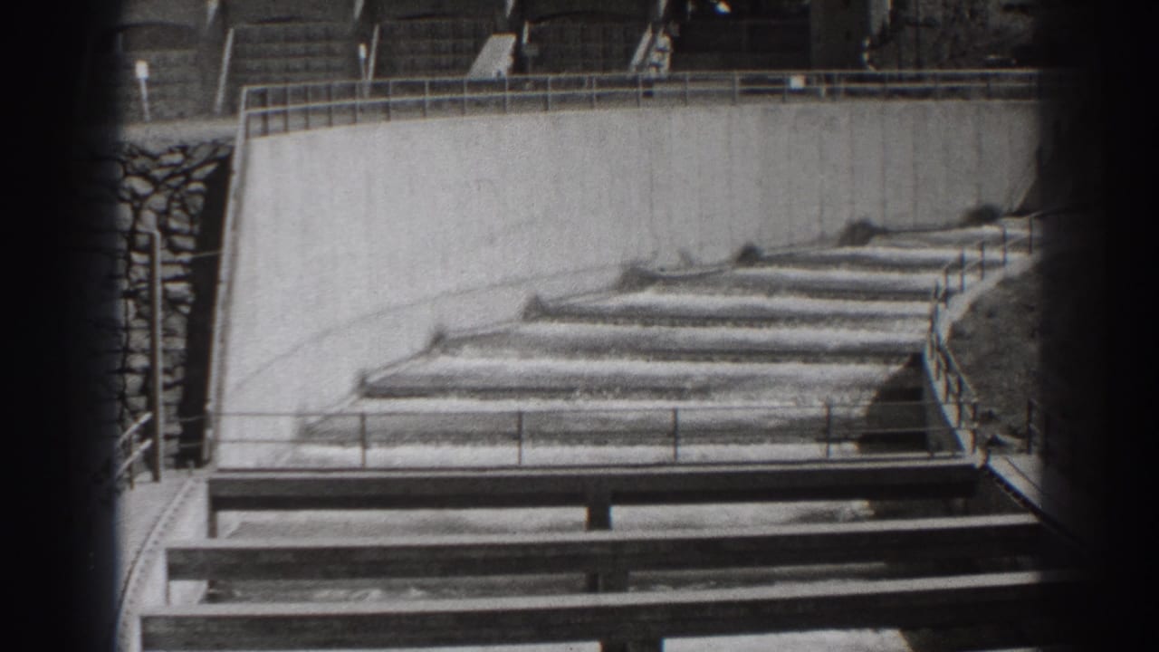 Wide view of stepped fish-ladder channels with water flowing between concrete walls.