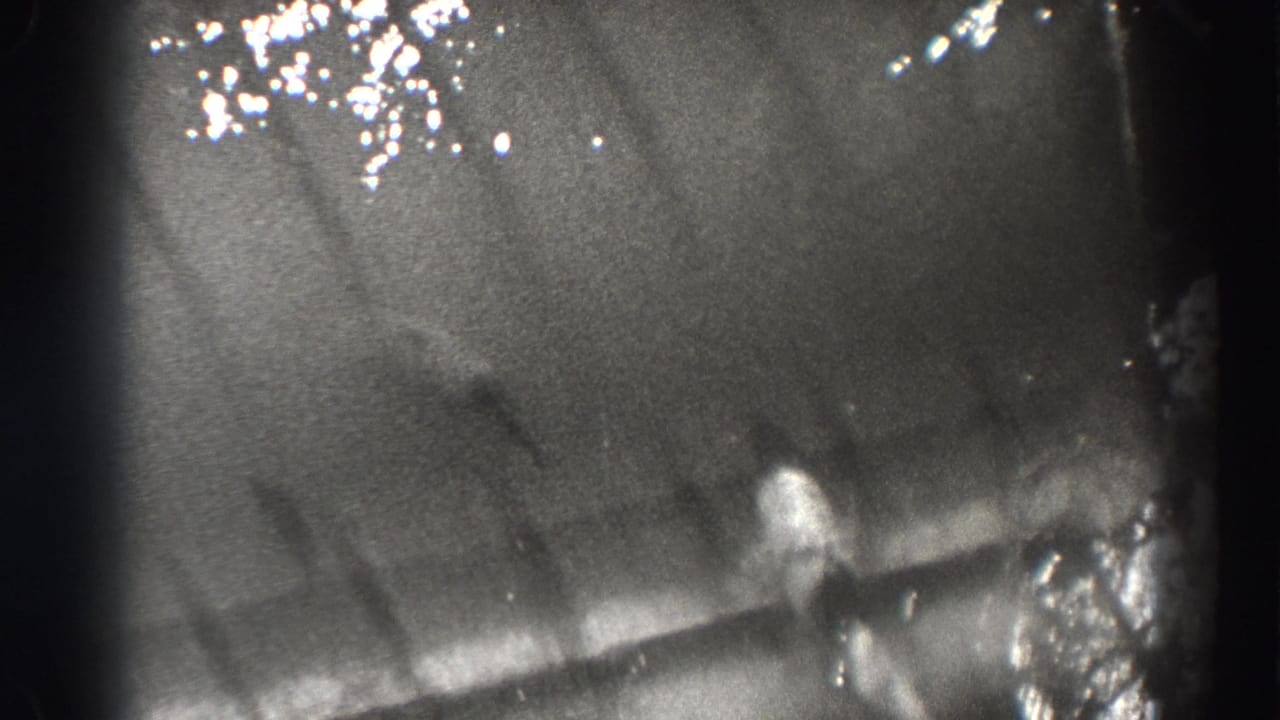 Close black-and-white view of water current with glare, soft focus, and a pale fish-like form near the center right.