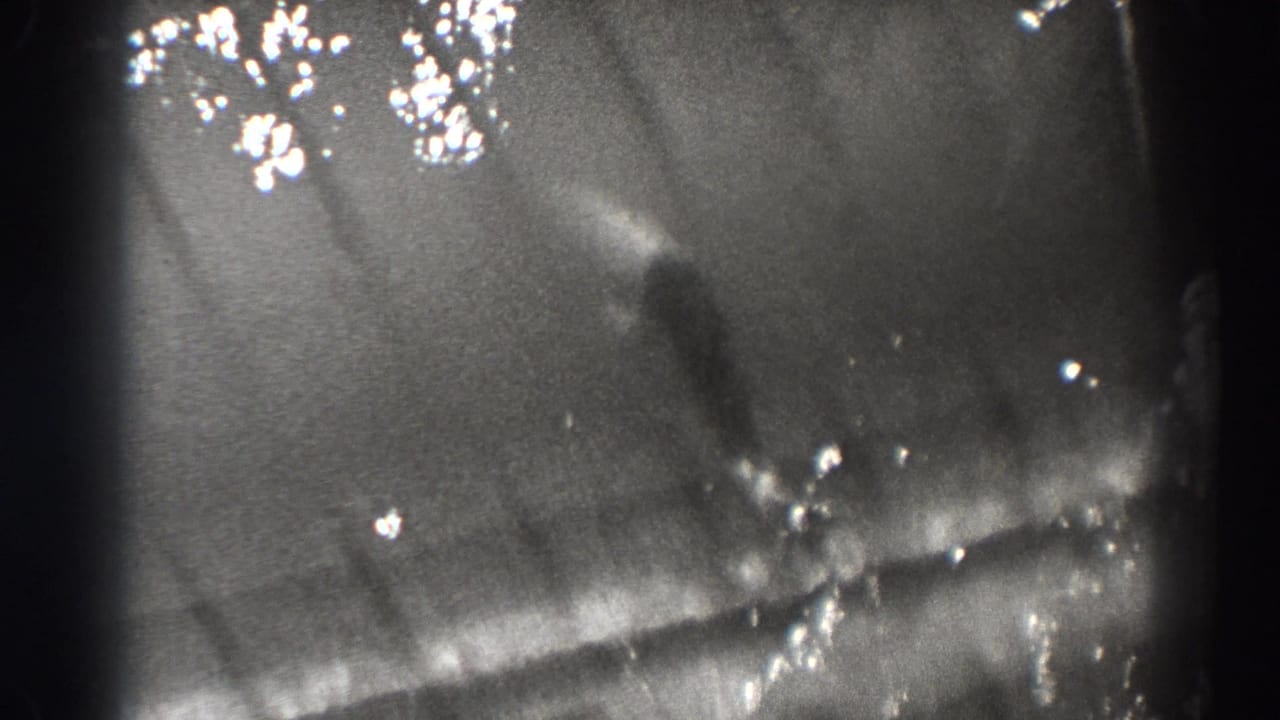 Dark water with bright flecks, bubbles, and a faint fish silhouette near the center.