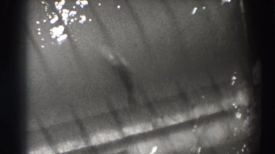 1938 Bonneville Dam footage showing a fish form under rippled water, with bright glints and black 8mm frame borders.