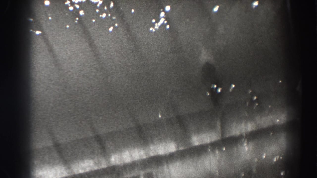 Submerged fish form near a diagonal edge, with ripples and scattered bright highlights.