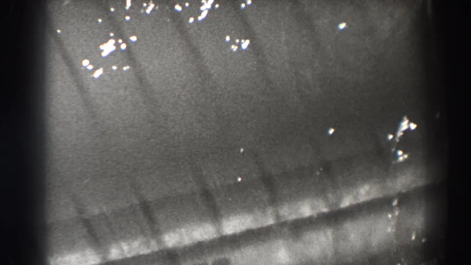 A dark fish shape moves under shallow rippled water in the 1938 Bonneville Dam home-movie footage.
