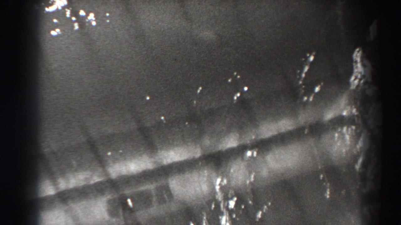 Blurred fish shape and striped underwater structure seen in grainy black-and-white film.