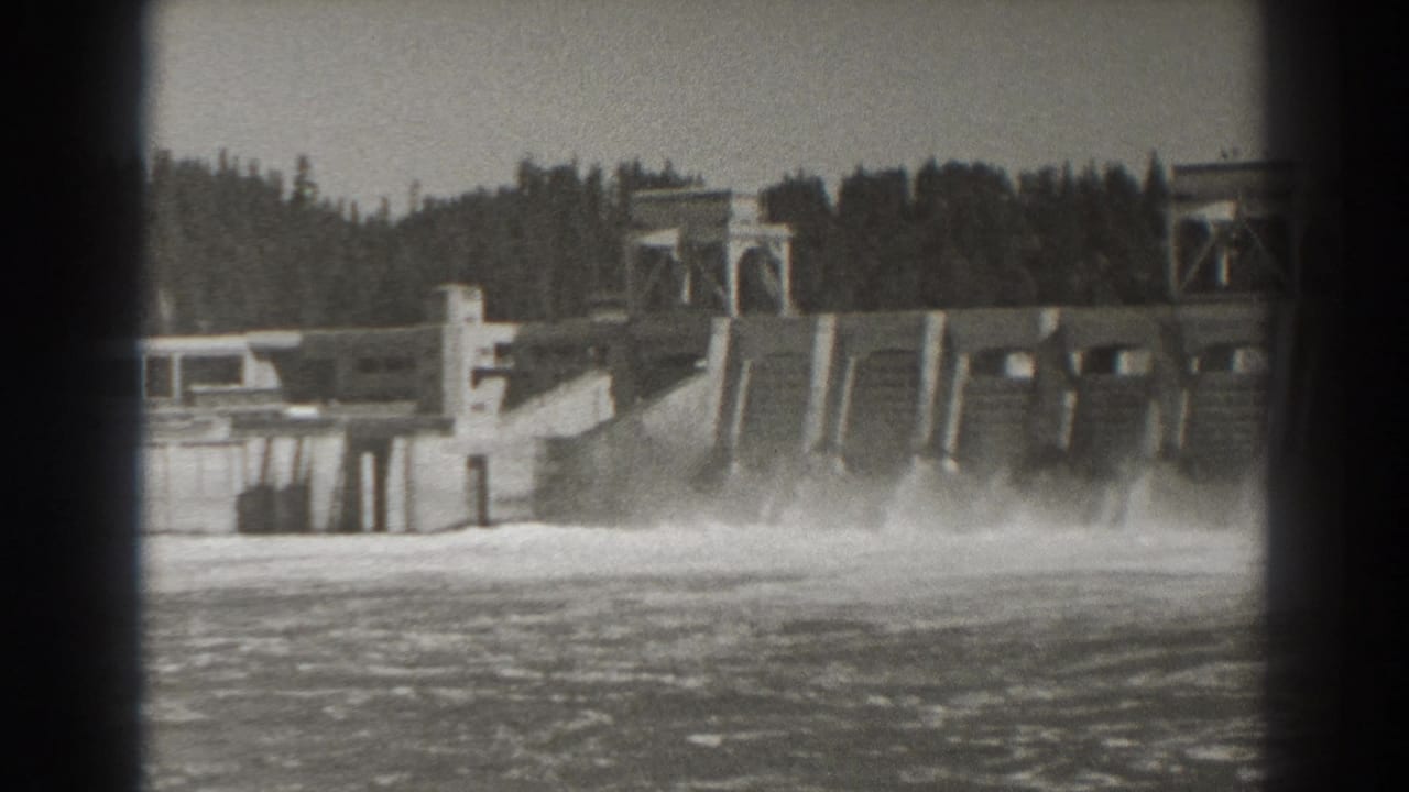 Bonneville Dam spillway releasing water with forested hillside behind it.