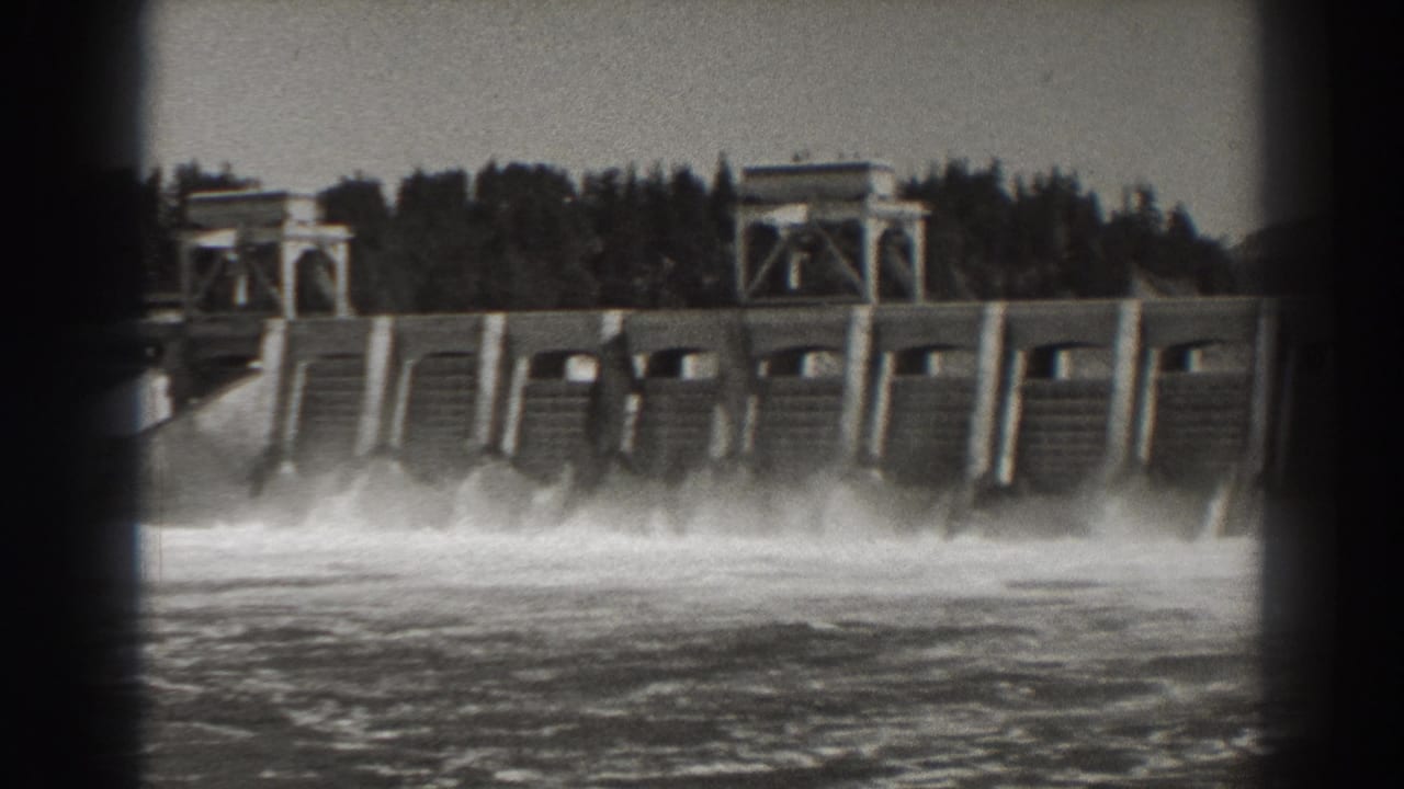 Bonneville Dam spillways releasing water into a foaming river below.