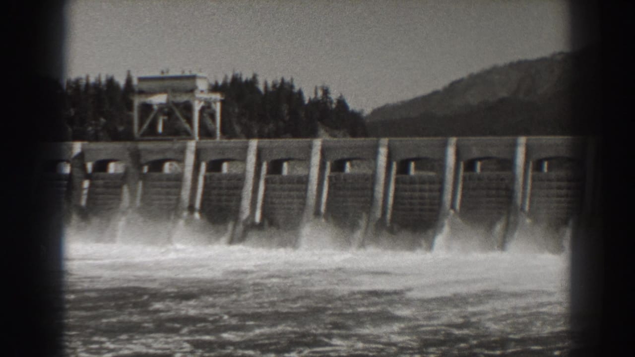 Bonneville Dam spillways releasing water with forested hills behind.