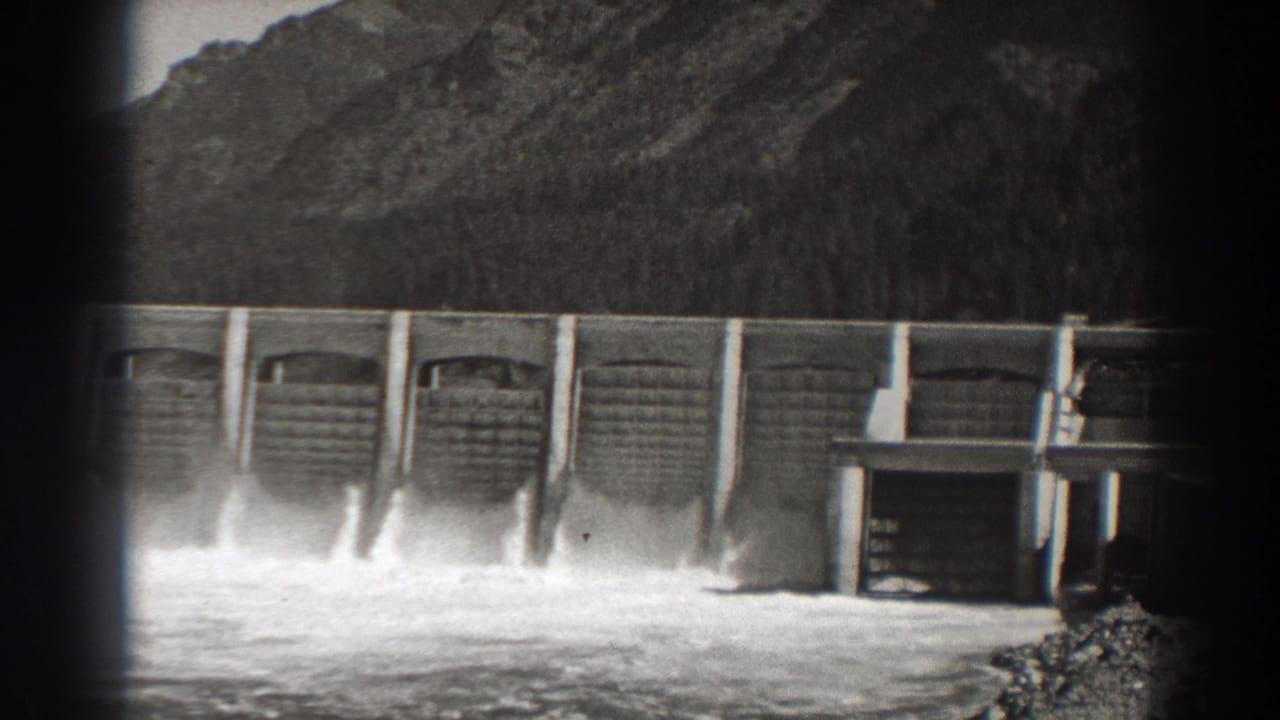 Bonneville Dam spillway with water pouring below forested mountains.