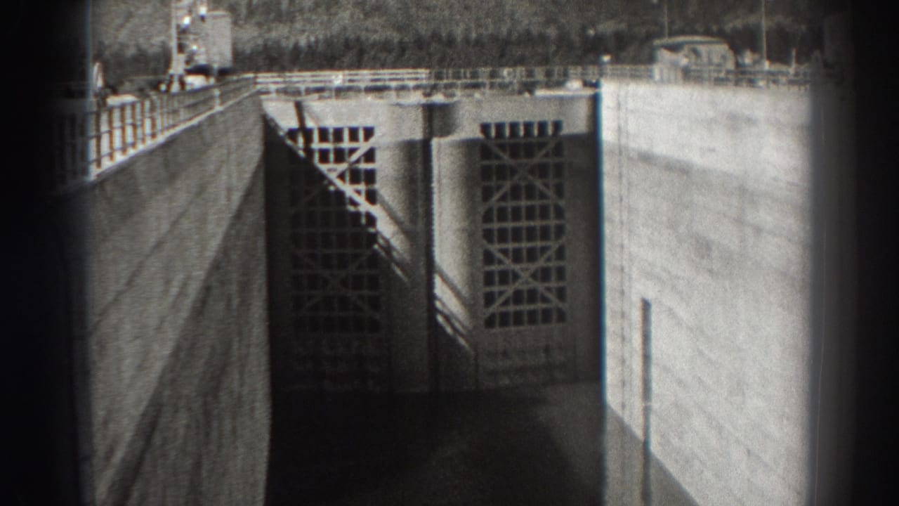 1938 Bonneville Dam view showing concrete walls, large gridded intake gates, railings, and heavy shadows over water.
