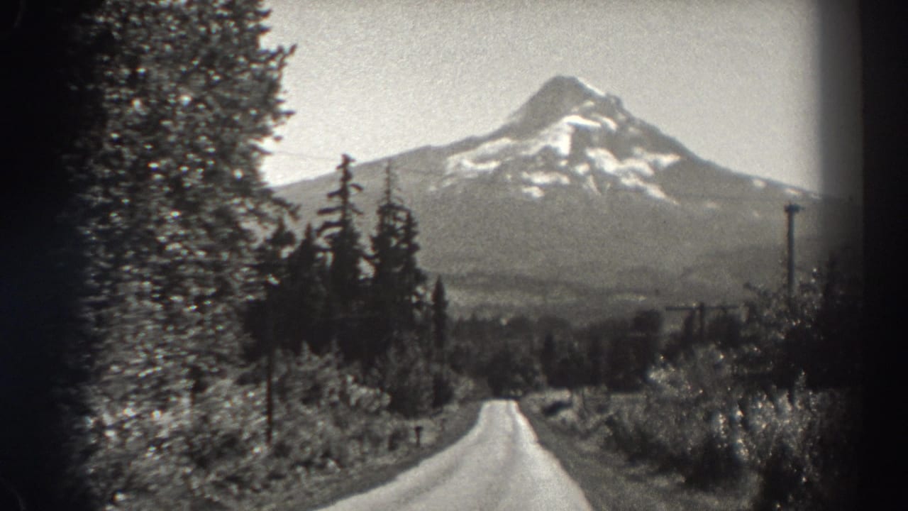A road runs through trees toward a snow-capped mountain in the distance.