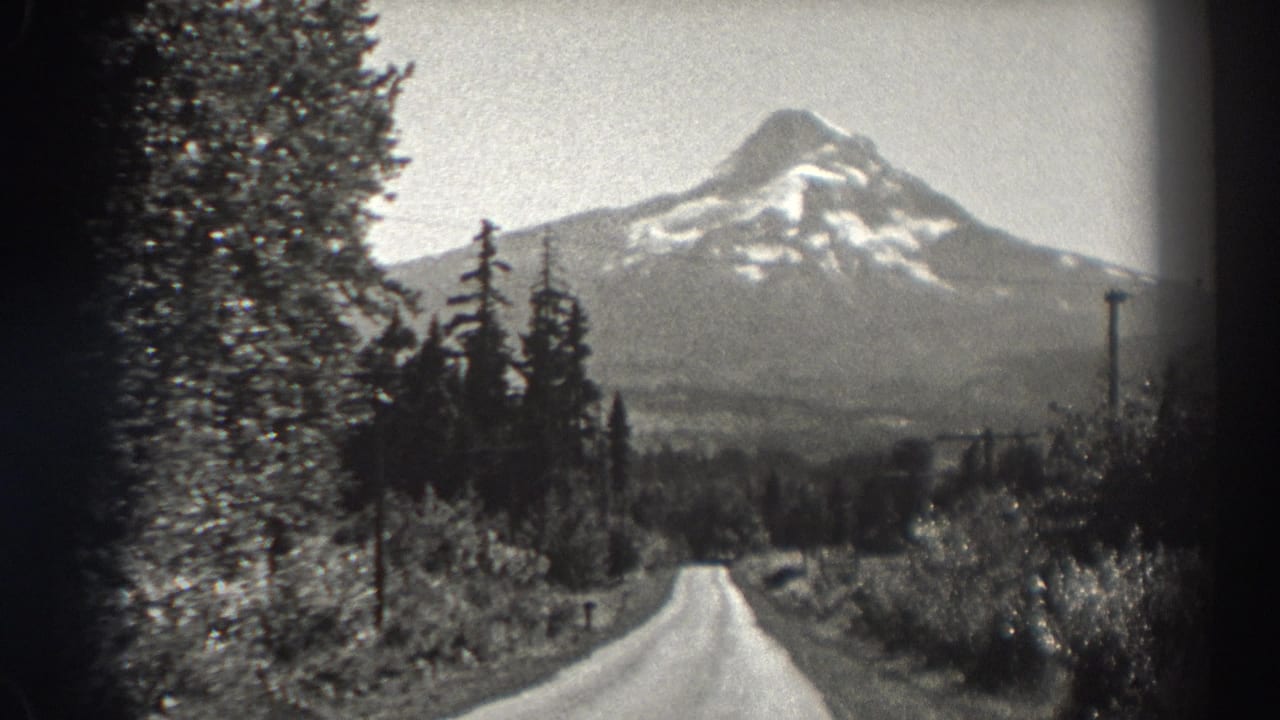 Snow-capped mountain above a narrow road bordered by evergreen trees and brush.