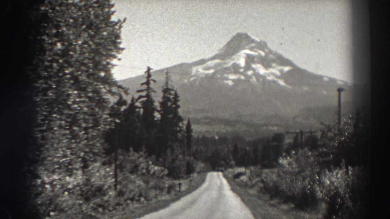 Mountain road scene with conifer trees, utility poles, and a snow-marked peak in the distance.