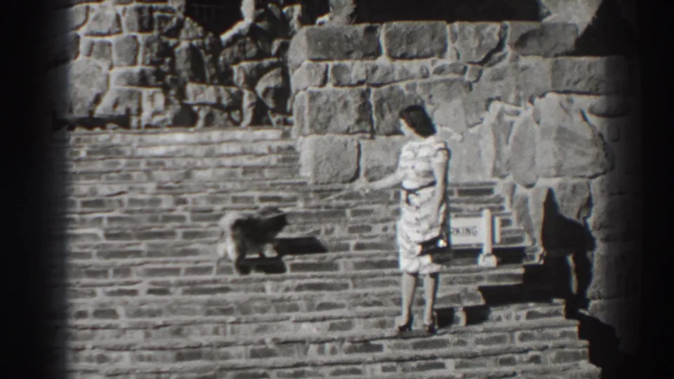 At Bonneville Dam, Oregon in 1938, a woman stands on stone steps while a small dog moves nearby against rough stonework.