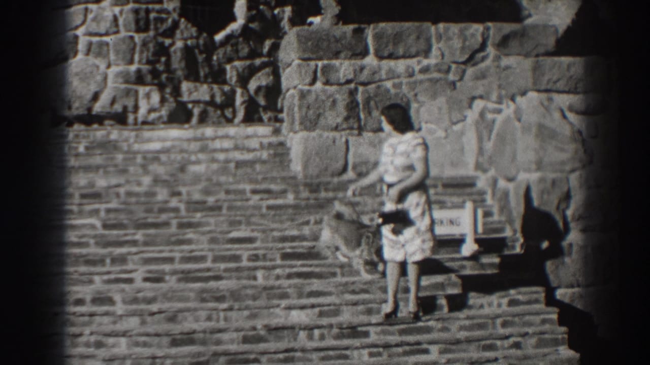 Woman in a light dress stands on wide stone steps with a small dog nearby.