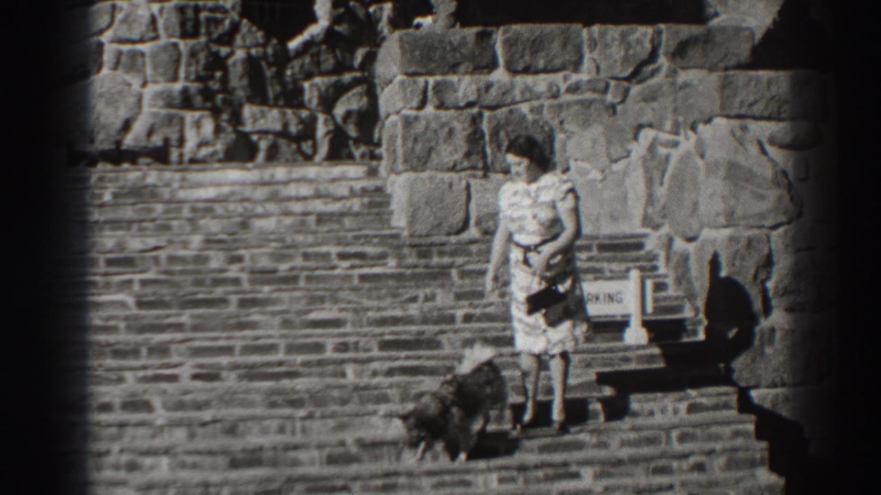 Woman watches a dog descend stone steps beside a rough stone wall.