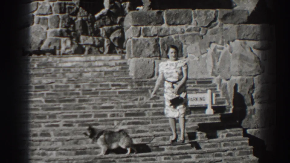 The woman faces the camera on the Bonneville Dam stone staircase as her dog crosses the lower steps near the visible PARKING sign.