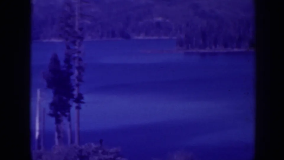 The 1938 Bucks Lake view shifts closer to the water, with a pine at left and forested shoreline in the distance.