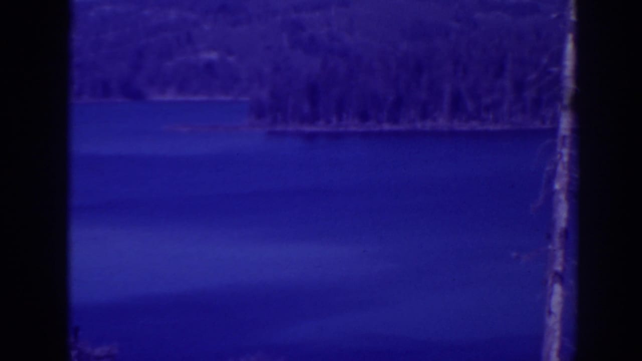 Blue-tinted lake water with a forested shoreline and a bare trunk near the right edge.