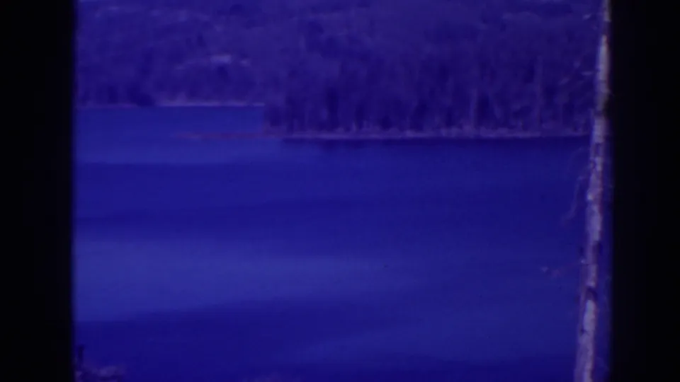 1938 Bucks Lake home-movie frame showing blue lake water, distant trees, and a bare foreground trunk during a slow pan.