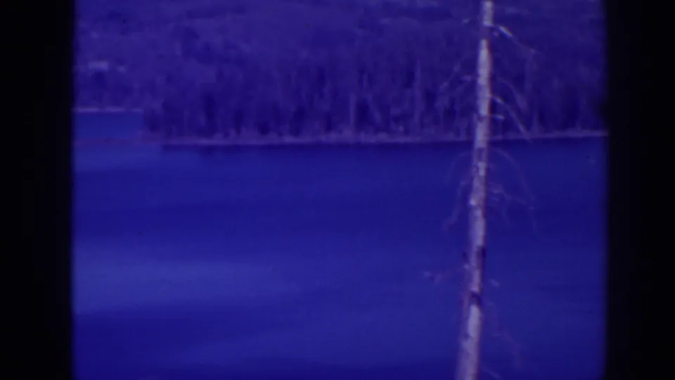 Bucks Lake, California, in 1938, with calm blue-tinted water, a forested shoreline, and a dead foreground tree trunk.