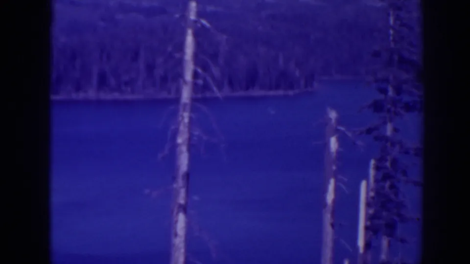 Late frame from the 1938 Bucks Lake pan showing blue-tinted water, shoreline trees, bare trunks, and dark branches at right.