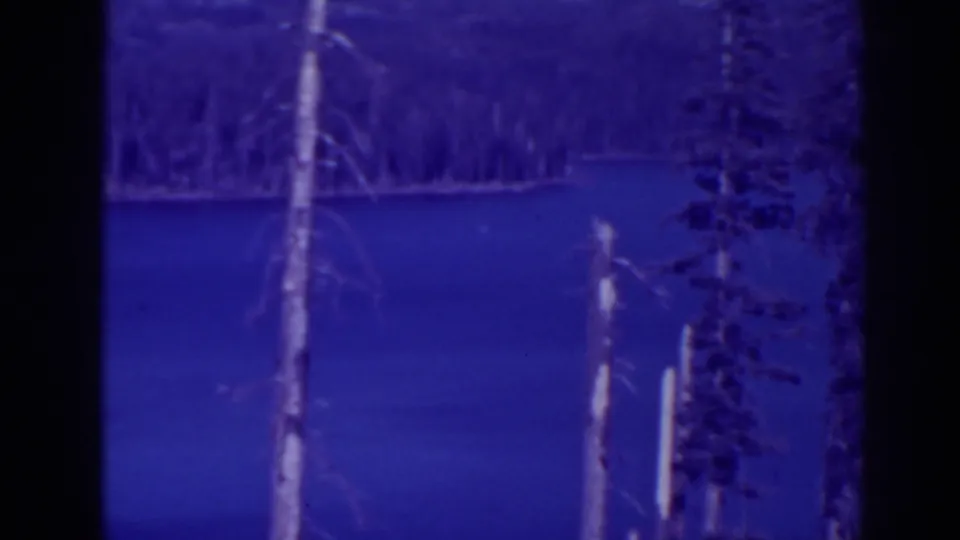 1938 Bucks Lake home-movie frame showing calm blue water, forested shore, and dead tree trunks in a soft 8mm scan.
