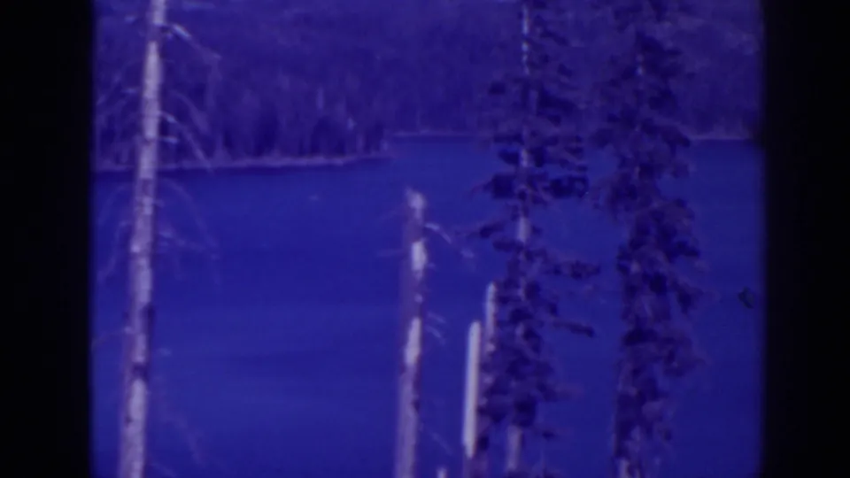 Bucks Lake, California, seen through tree trunks in a blue-tinted 1938 8mm home-movie frame.