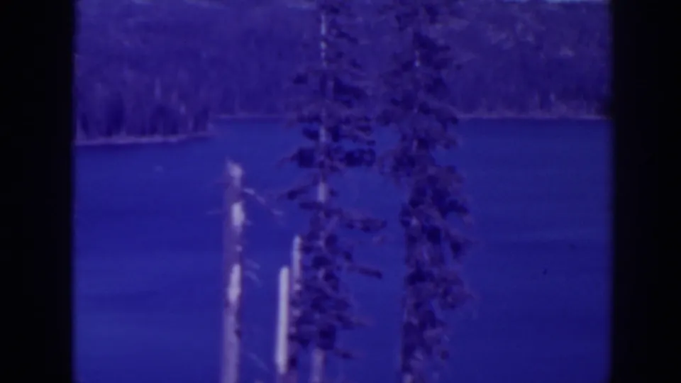 Soft 8mm frame of Bucks Lake with blue water, distant trees, and pale dead trunks near the shore.