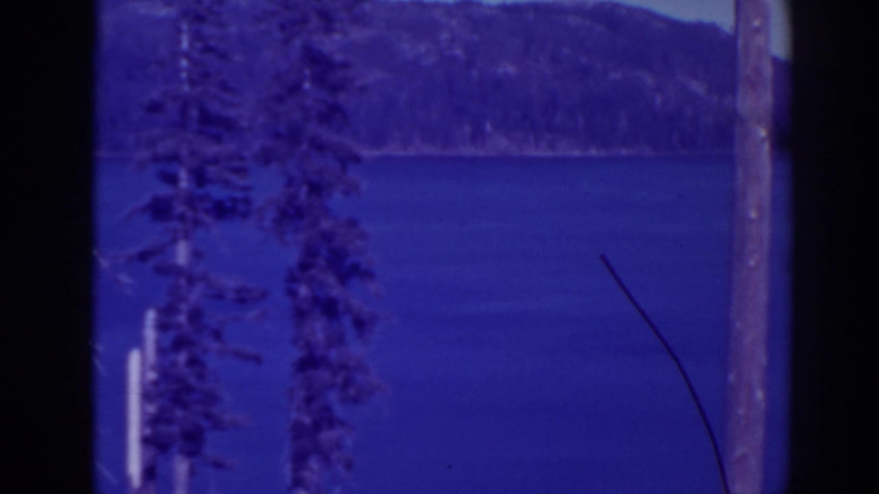 Blue lake seen through pine trunks with wooded hills in the distance.