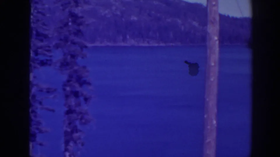 1938 Bucks Lake frame with calm blue water, foreground pine trunks, distant wooded hills, and a small dark film mark or debris spot.