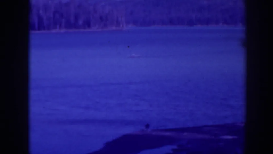 Bucks Lake appears in a blue-shifted 8mm frame with wooded shoreline, open water, and a dark dam or shore edge in the lower frame.