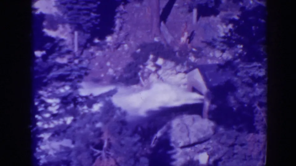 Purple-tinted 8mm view of rushing water near Bucks Lake, with rocks, tree trunks, and dense forest edges visible.