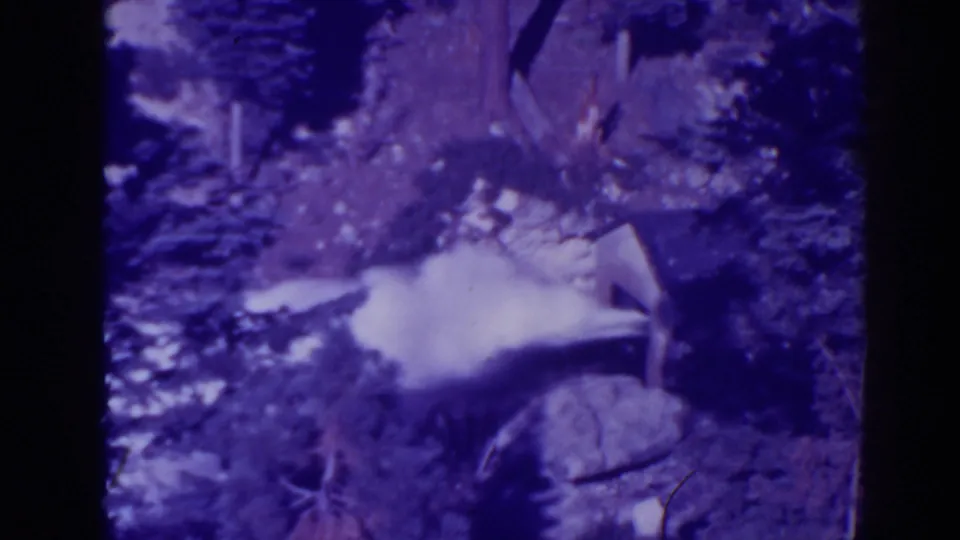 Bucks Lake-area water current seen in grainy purple-tinted 8mm, bordered by rocks, branches, and wooded terrain.