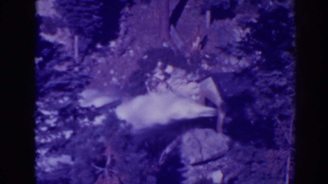 White water plume erupts among conifer trees and rocks in a shaded forest.