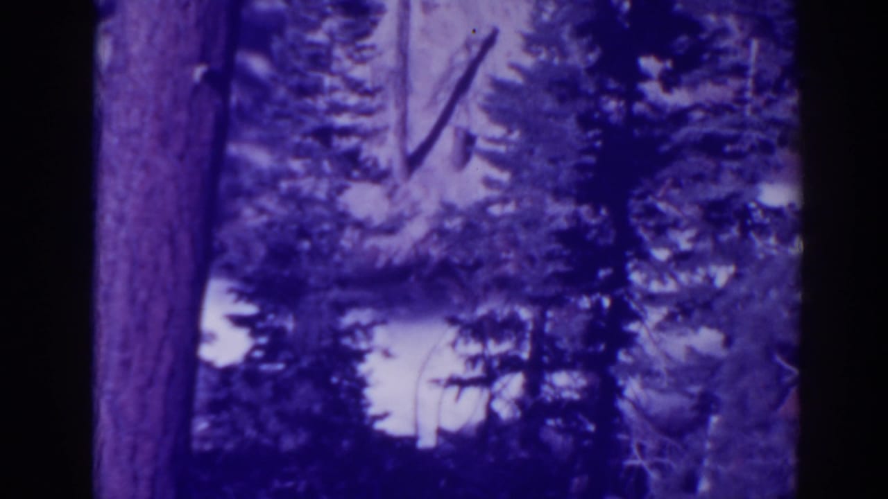 Bucks Lake, California, 1938 home-movie frame showing pine trees and pale water or rapids beyond the forest.