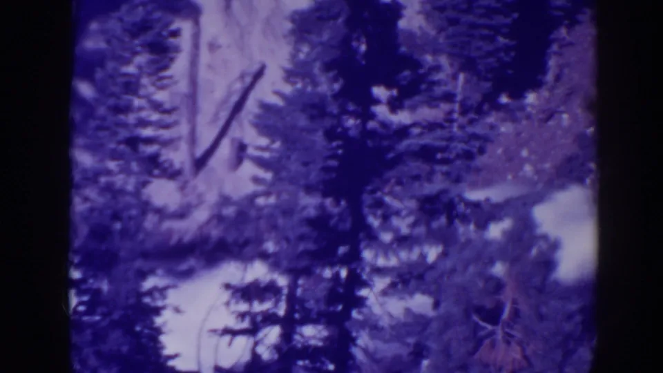 1938 Bucks Lake home-movie still with conifers, trunks, and a pale water view softened by grain and color shift.