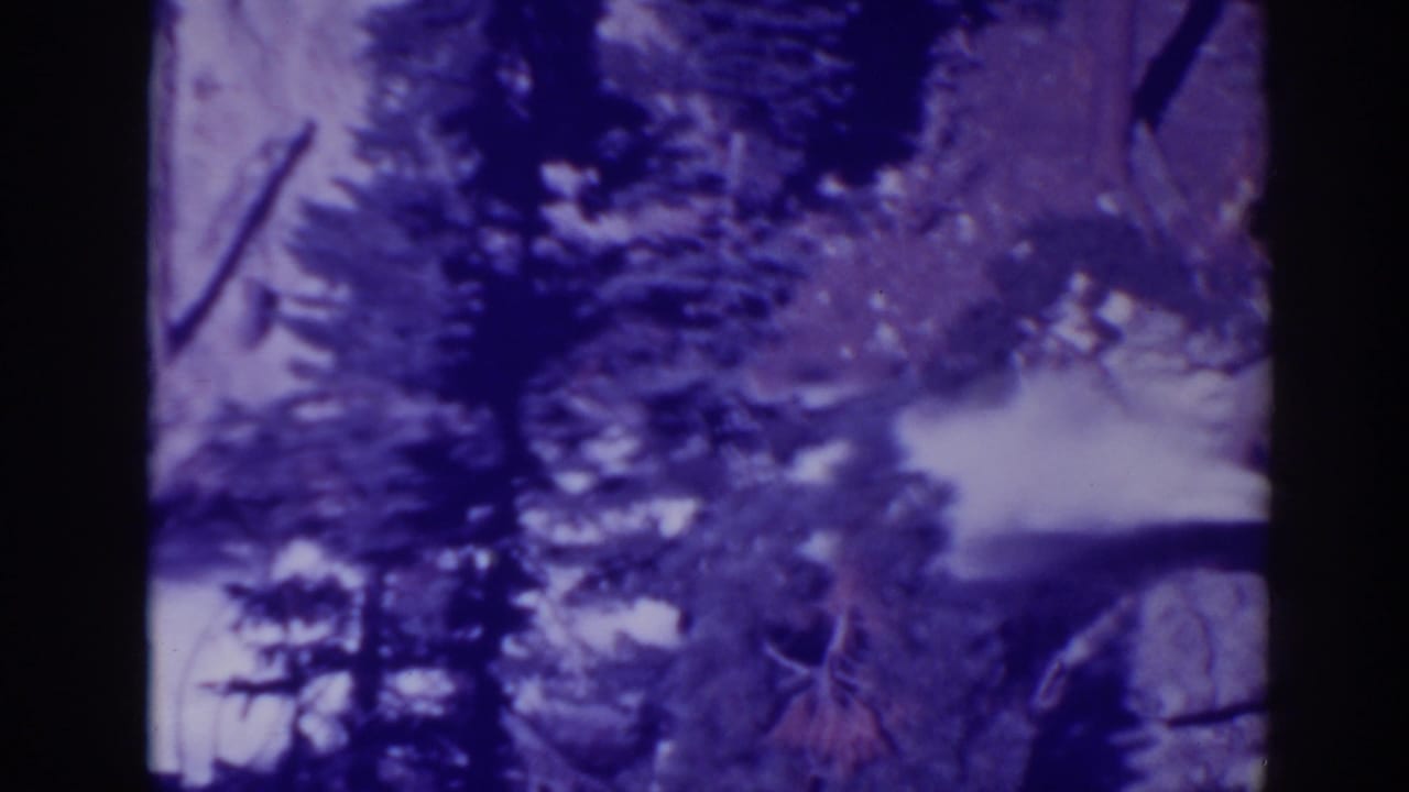 Purple-tinted waterfall among pine trees and rocks.