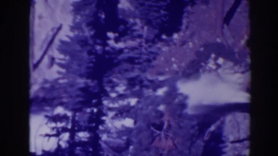 1938 Bucks Lake 8mm frame showing a waterfall descending through pine trees and cliffside rocks.