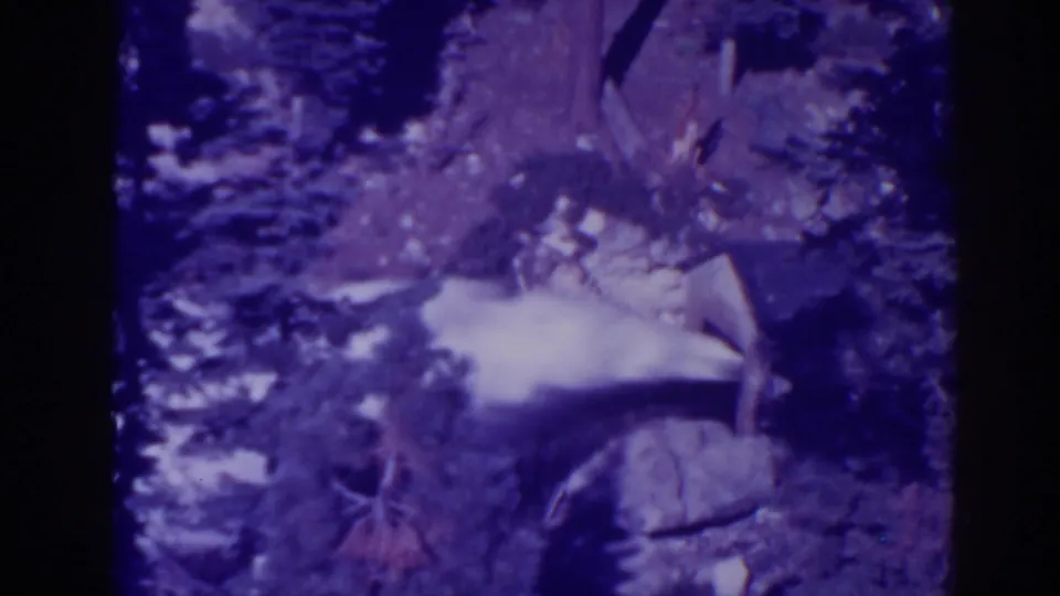 1938 home-movie frame with a soft, purple-tinted view of water flowing past pines and rocky terrain at Bucks Lake.