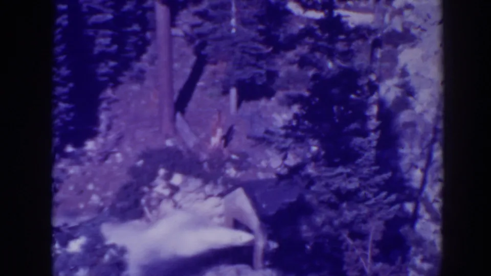 1938 Bucks Lake 8mm frame showing the water flow near a small built outlet or structure in a wooded mountain landscape.