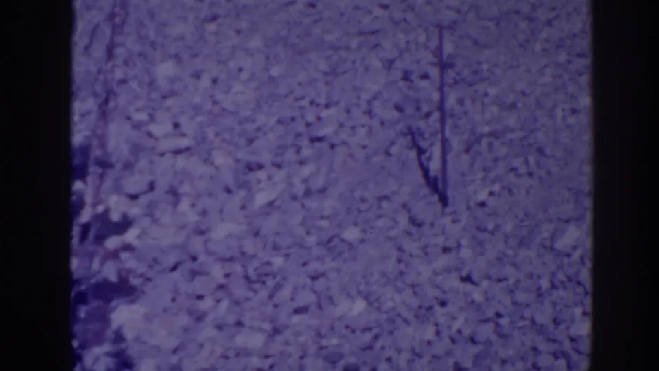Bucks Lake 1938 home-movie frame showing pale forest texture and a slender dark branch or sapling in soft focus.