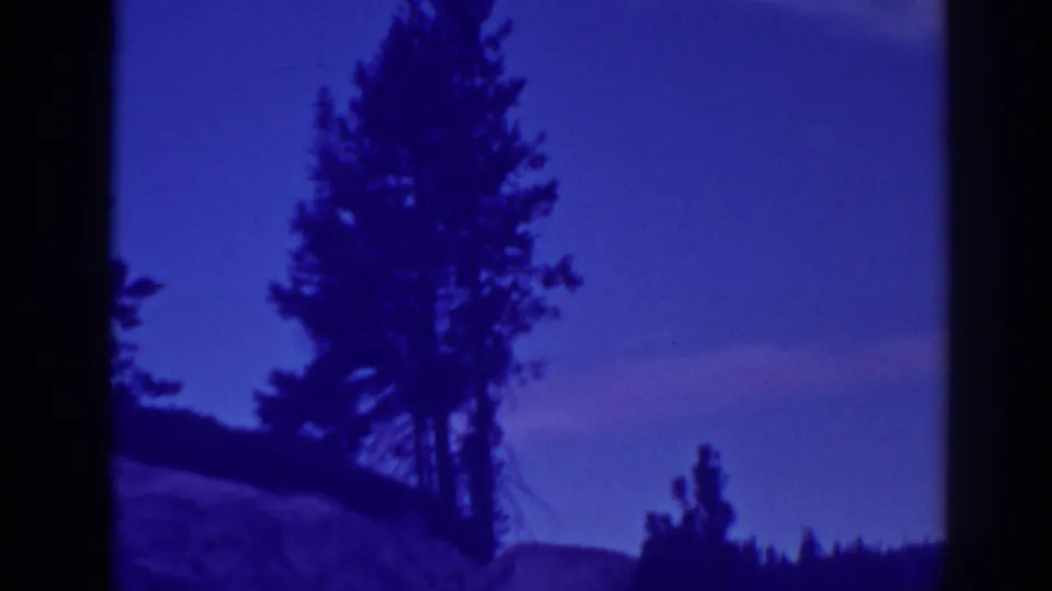 A dark pine silhouette overlooks Bucks Lake in 1938 footage, with blue water and a hazy shoreline beyond.