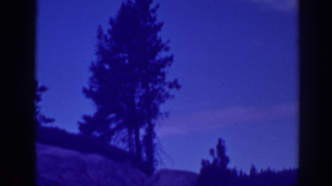 1938 Bucks Lake home-movie frame showing silhouetted evergreens against a dense purple-blue twilight sky.