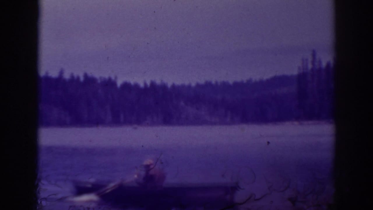 At Bucks Lake, California, a distant rower sits in a small boat near the edge of a calm, forest-lined lake.