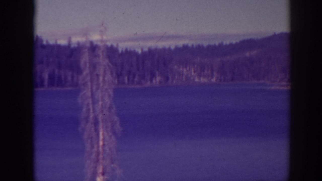 A fixed lakeside view at Bucks Lake shows blue water, a forested far shore, low hills, and a foreground tree trunk.