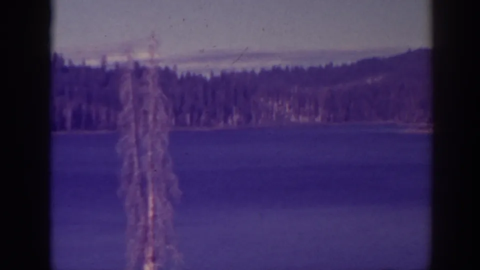 A fixed lakeside view at Bucks Lake shows blue water, a forested far shore, low hills, and a foreground tree trunk.